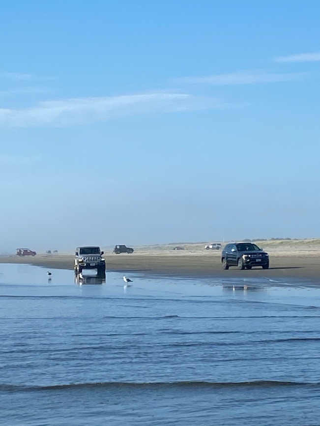 Cars on beach